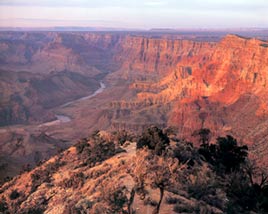 Grand Canyon Grand Canyon