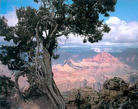 Grand Canyon Grand Canyon