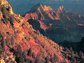 Grand Canyon Grand Canyon