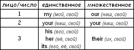Притяжательные местоимения. Possessive Pronoun Притяжательные местоимения. Possessive Pronoun