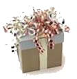 Gift Gift