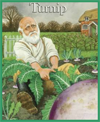 The turnip The turnip