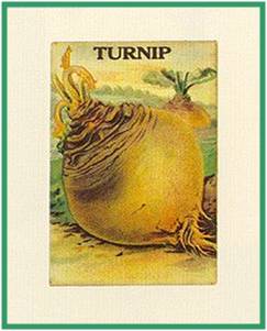 The turnip The turnip