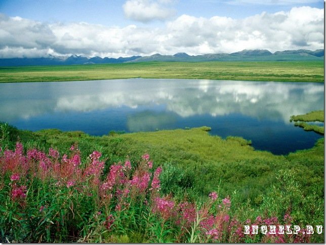 Alaska Alaska